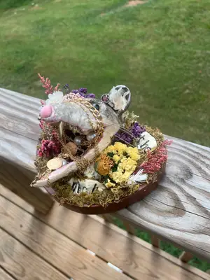 “Eat the rich” possum skull display — view 2