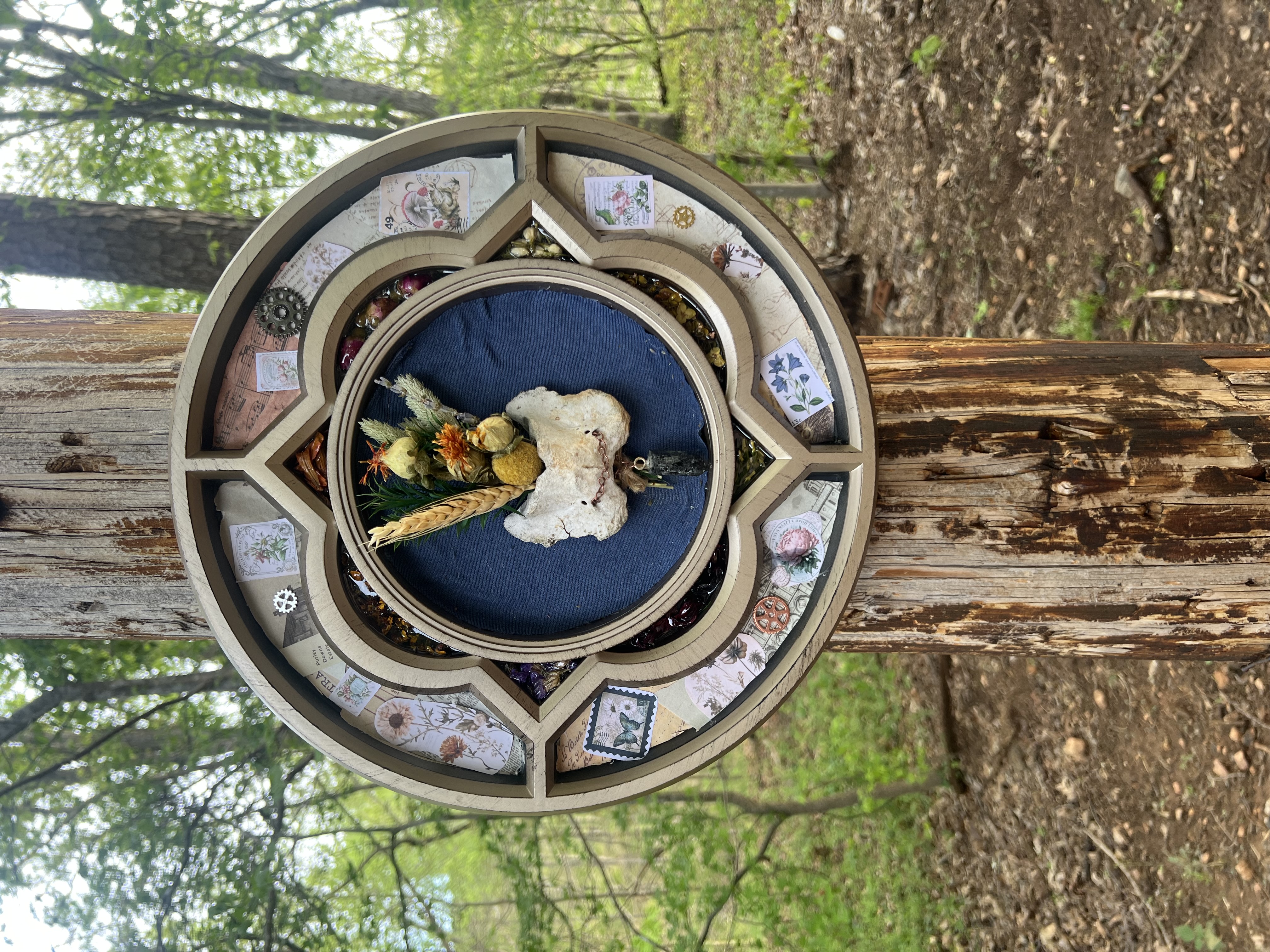 “From the ground up” bone frame — Belmont Batcave