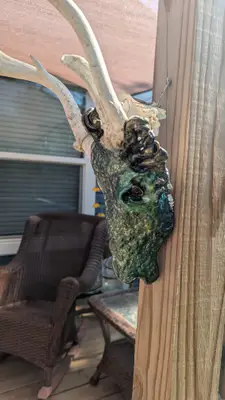 Dragon skull — view 3