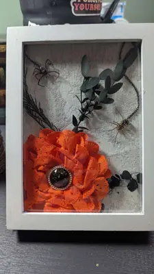 Spider frame — view 1