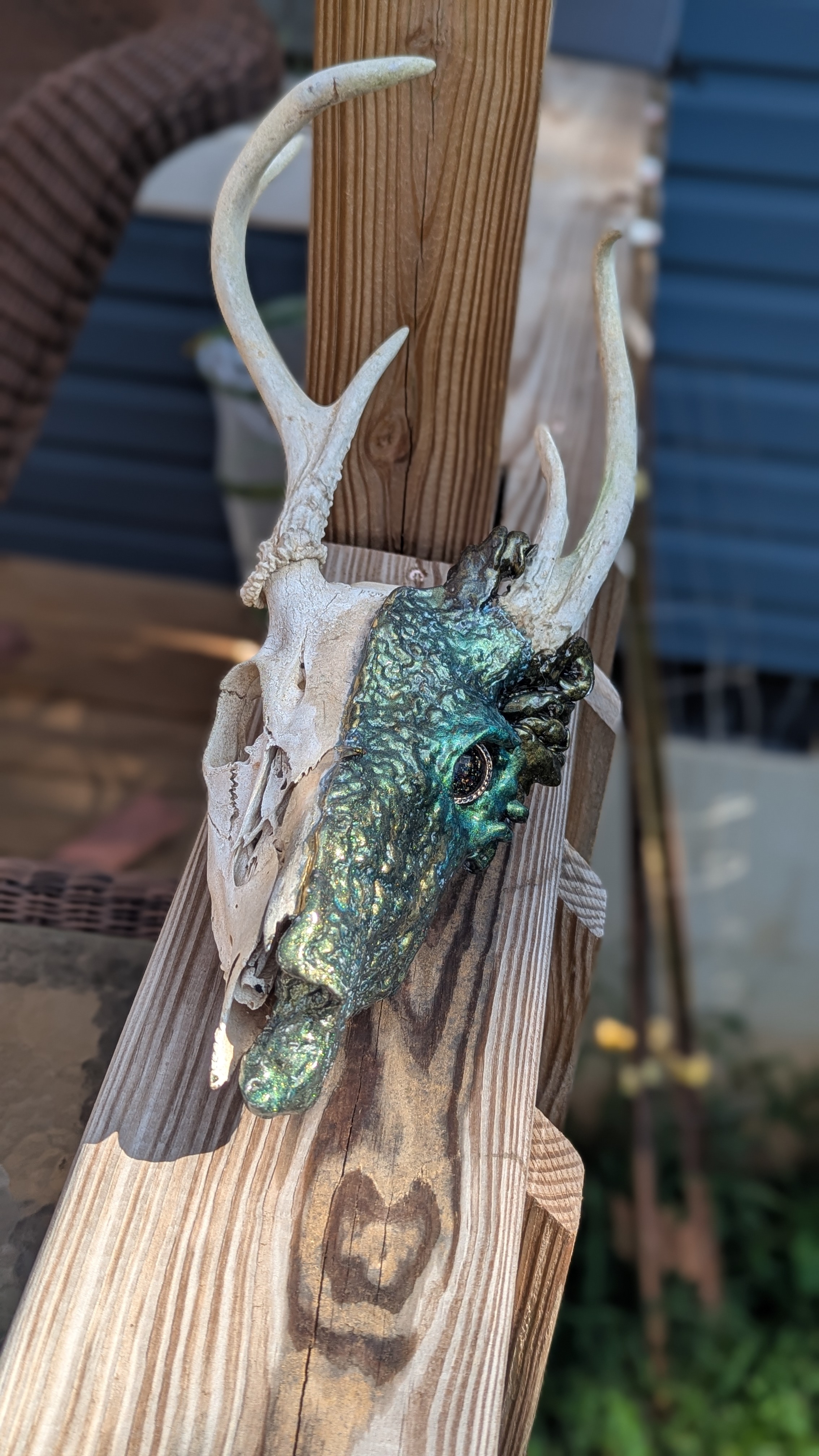 Dragon skull — Belmont Batcave