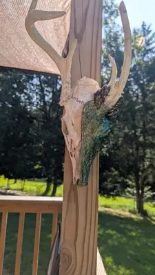 Dragon skull — view 5