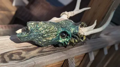Dragon skull — view 2